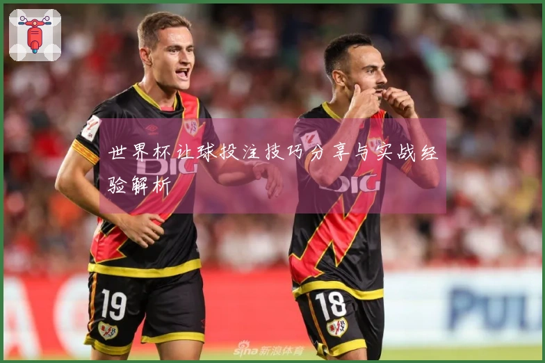 世界杯让球投注技巧分享与实战经验解析