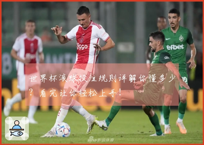 世界杯滚球投注规则详解你懂多少？看完让你轻松上手！