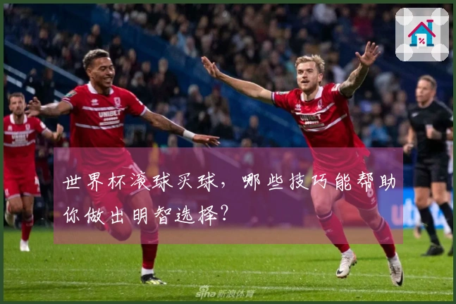 世界杯滚球买球，哪些技巧能帮助你做出明智选择？