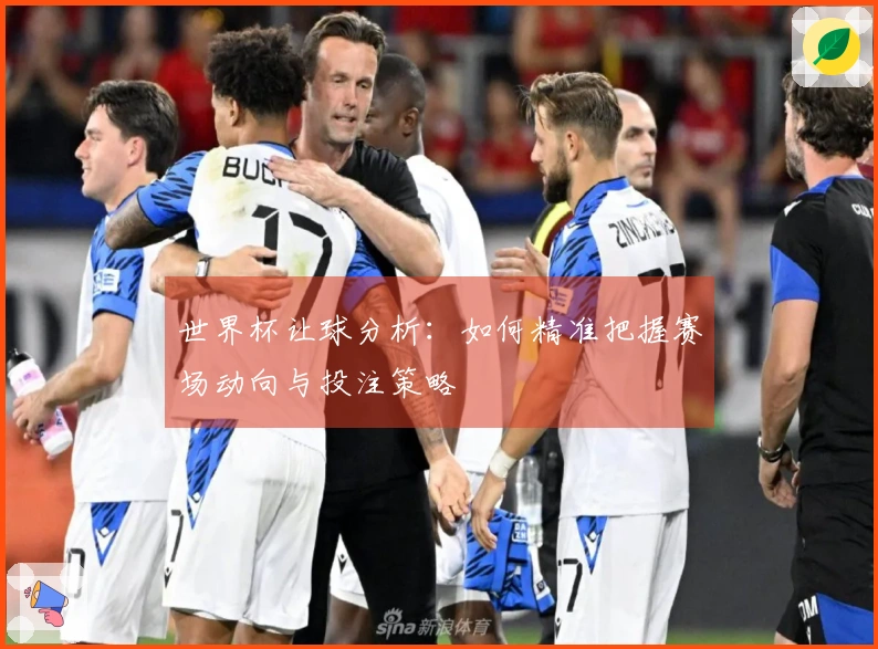 世界杯让球分析：如何精准把握赛场动向与投注策略