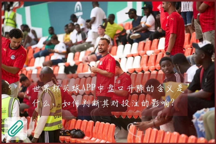 世界杯买球APP中盘口升降的含义是什么，如何判断其对投注的影响？