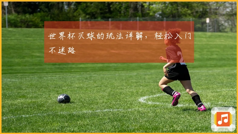 世界杯买球的玩法详解，轻松入门不迷路