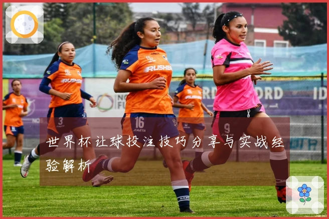 世界杯让球投注技巧分享与实战经验解析