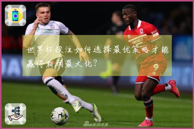 世界杯投注如何选择最优策略才能赢得利润最大化？
