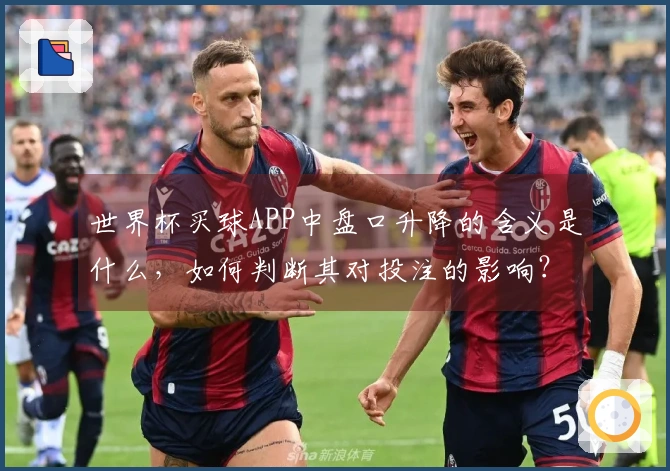 世界杯买球APP中盘口升降的含义是什么，如何判断其对投注的影响？