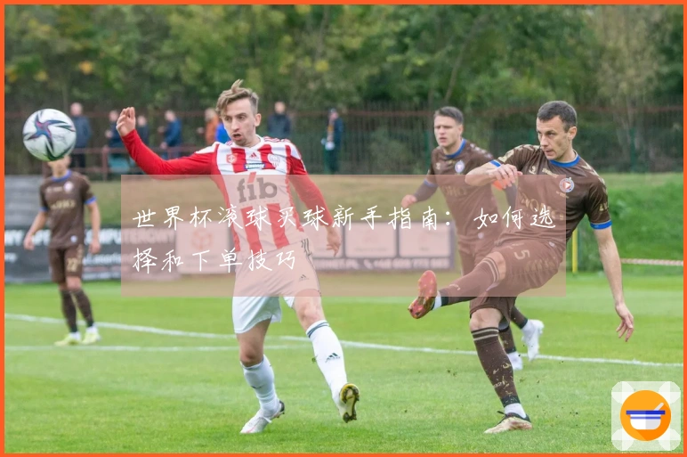 世界杯滚球买球新手指南：如何选择和下单技巧