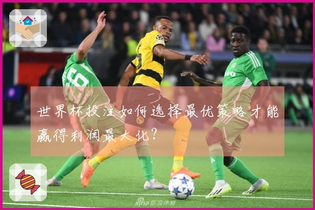 世界杯投注如何选择最优策略才能赢得利润最大化？