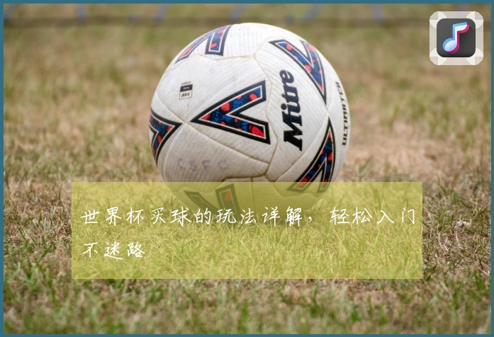 世界杯买球的玩法详解，轻松入门不迷路
